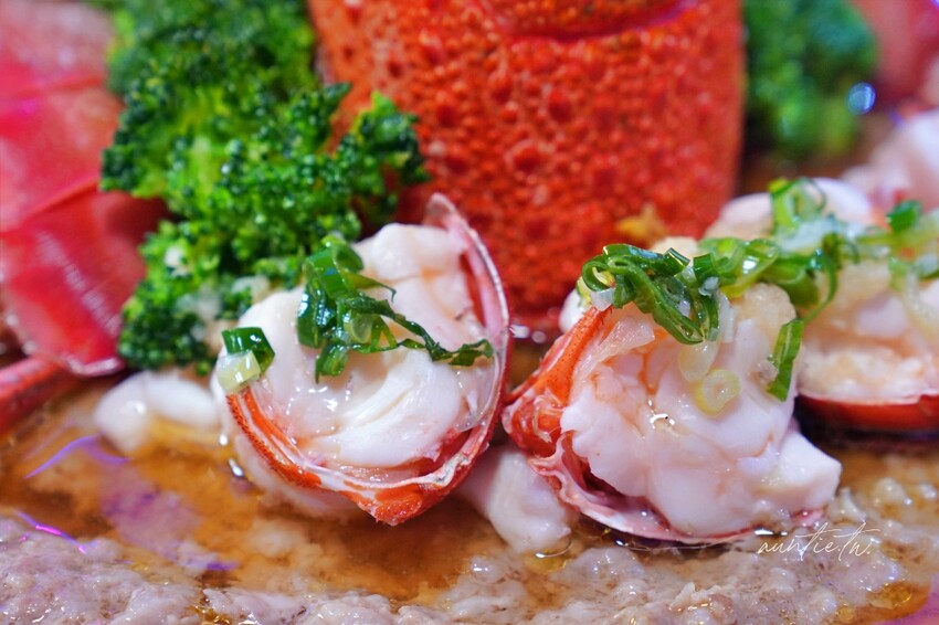 彰化縣永靖鄉【彰化婚宴場地】松緣會館 THE PINE，百年松柏園區，奢華頂級婚禮，彰化戶外婚禮推薦