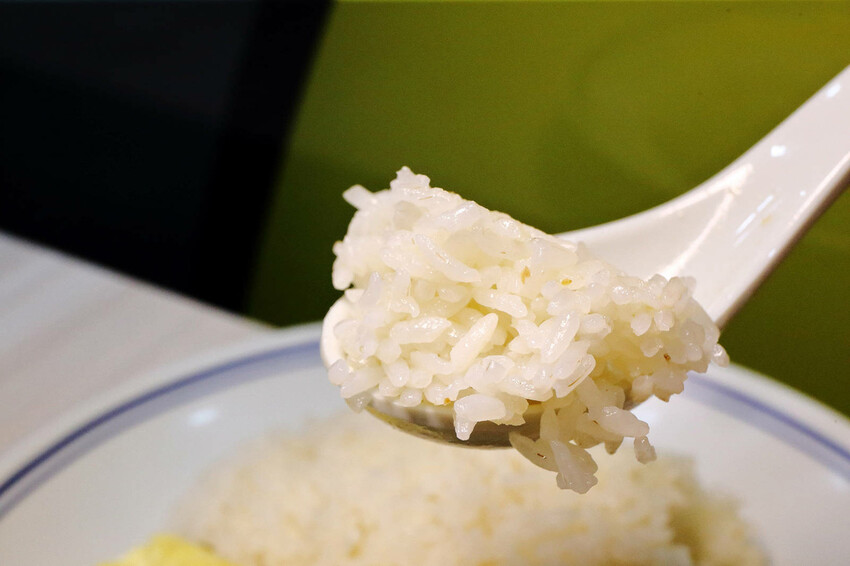 新莊超好吃海南雞飯推薦!好吃雞海南雞飯,雞肉鮮嫩多汁、金黃米