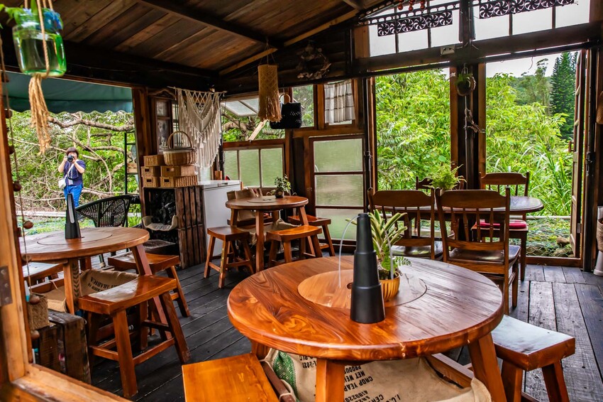 桃園市龍潭區青山吉田|愛麗絲夢幻仙境森林小屋!連google都找不到,藏身橘子園秘境咖啡廳