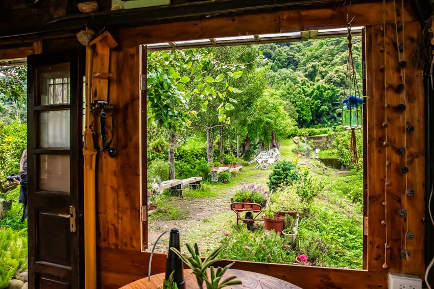 桃園市龍潭區青山吉田|愛麗絲夢幻仙境森林小屋!連google都找不到,藏身橘子園秘境咖啡廳