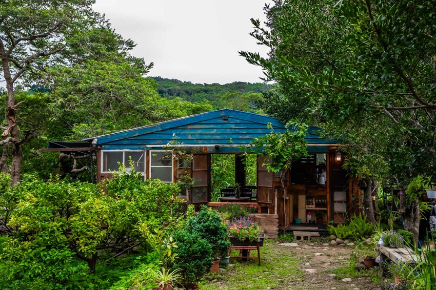 桃園市龍潭區青山吉田|愛麗絲夢幻仙境森林小屋!連google都找不到,藏身橘子園秘境咖啡廳