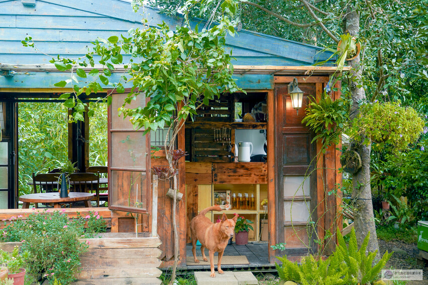 桃園市龍潭區美食、青山吉田，秘境小屋等你來預約，橘子園中的童話體驗。