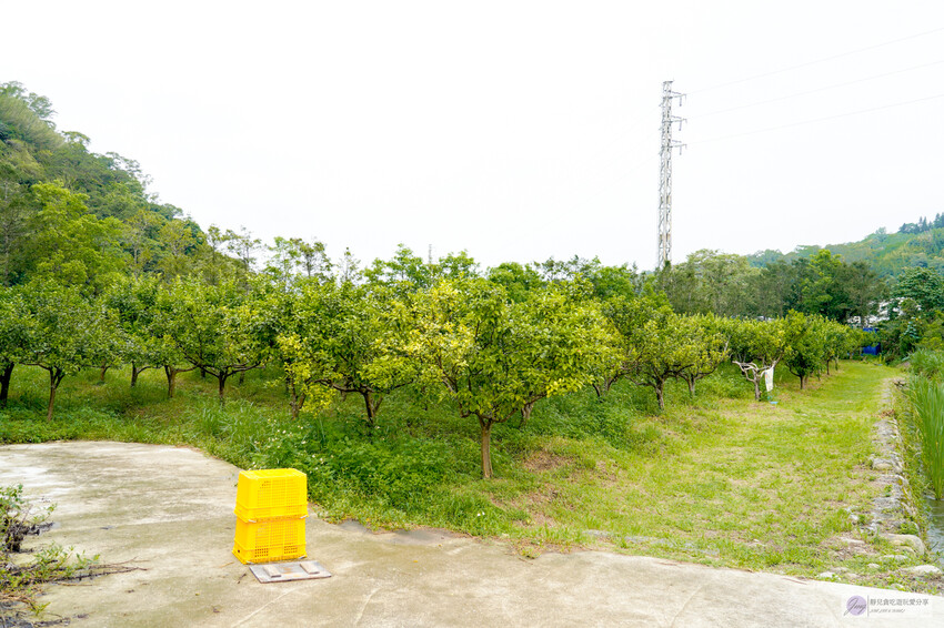桃園市龍潭區美食、青山吉田，秘境小屋等你來預約，橘子園中的童話體驗。
