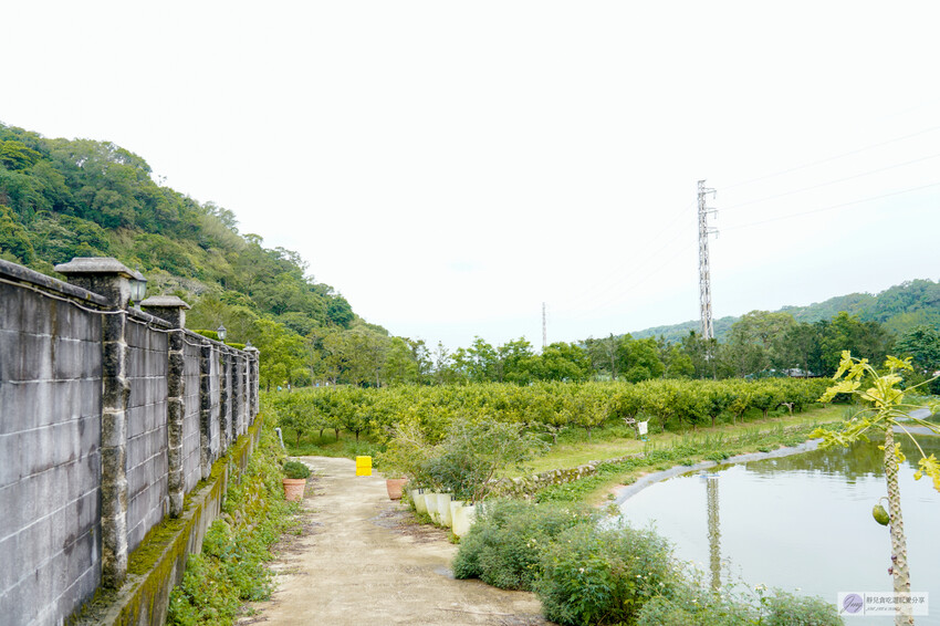 桃園市龍潭區美食、青山吉田，秘境小屋等你來預約，橘子園中的童話體驗。