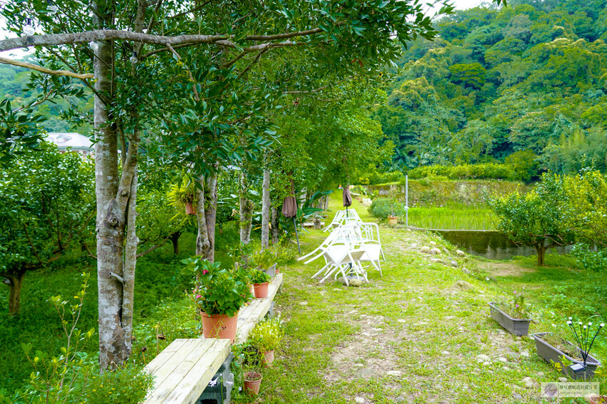 桃園市龍潭區美食、青山吉田，秘境小屋等你來預約，橘子園中的童話體驗。