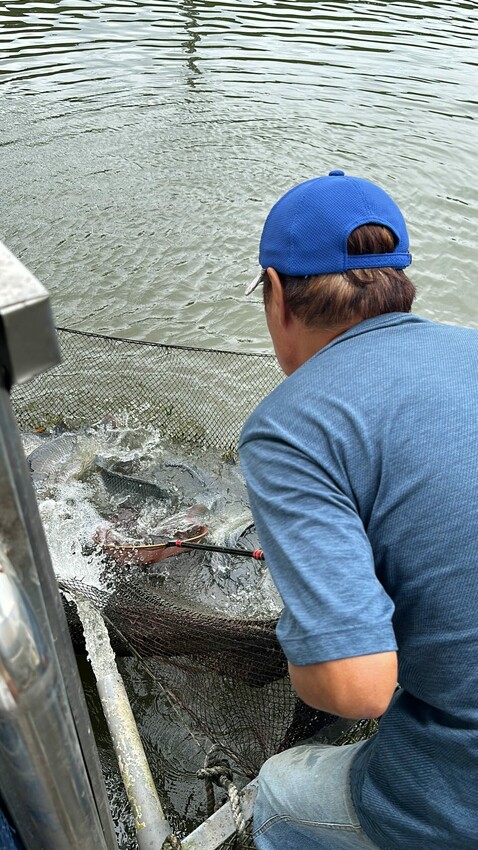 桃園市龍潭區三步五食休閒魚池｜網路上幾乎無資料的超大鹽烤魚！藏身釣魚池旁的隱藏版鮮魚料理