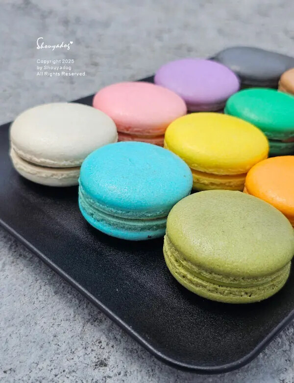 【甜點】姚君子甜點製造所 母親節紀念日禮物首選 繽紛手工馬卡