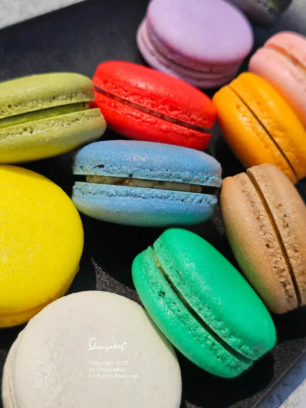 【甜點】姚君子甜點製造所 母親節紀念日禮物首選 繽紛手工馬卡