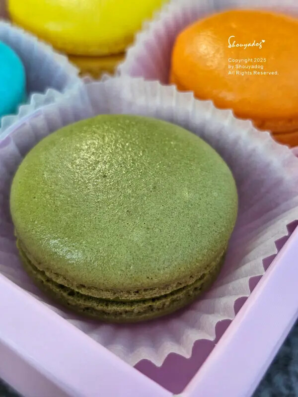 【甜點】姚君子甜點製造所 母親節紀念日禮物首選 繽紛手工馬卡