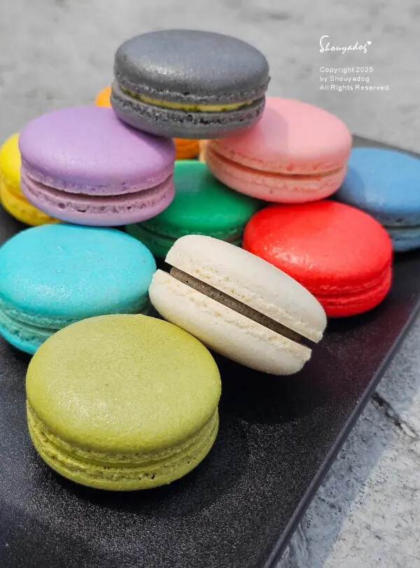 【甜點】姚君子甜點製造所 母親節紀念日禮物首選 繽紛手工馬卡