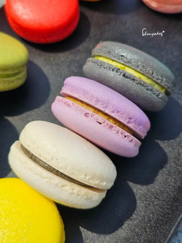 【甜點】姚君子甜點製造所 母親節紀念日禮物首選 繽紛手工馬卡