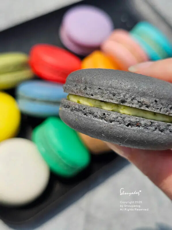 【甜點】姚君子甜點製造所 母親節紀念日禮物首選 繽紛手工馬卡