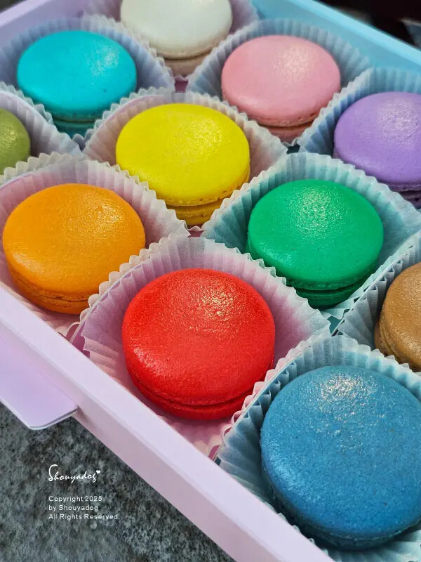 【甜點】姚君子甜點製造所 母親節紀念日禮物首選 繽紛手工馬卡