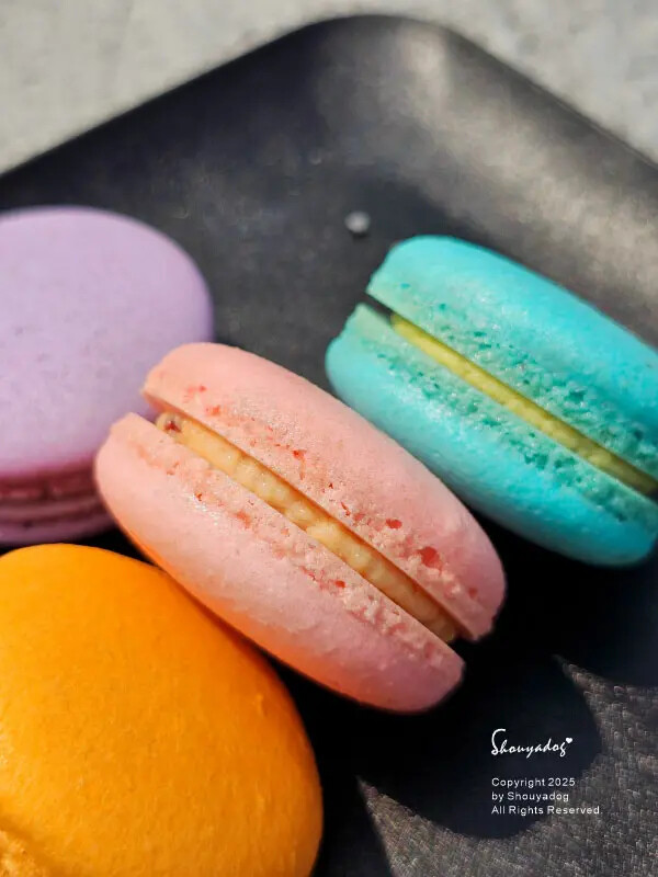 【甜點】姚君子甜點製造所 母親節紀念日禮物首選 繽紛手工馬卡