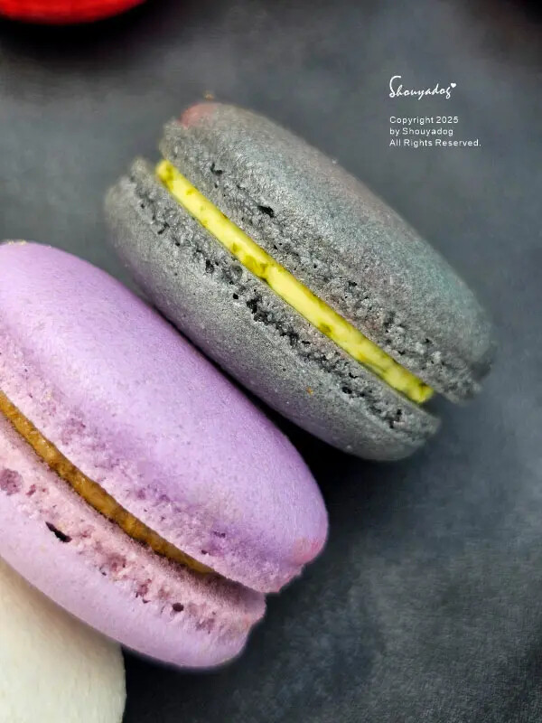 【甜點】姚君子甜點製造所 母親節紀念日禮物首選 繽紛手工馬卡