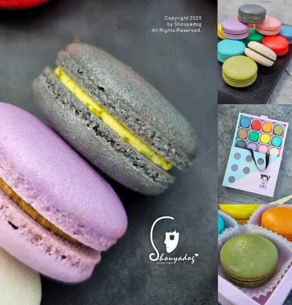 【甜點】姚君子甜點製造所 母親節紀念日禮物首選 繽紛手工馬卡