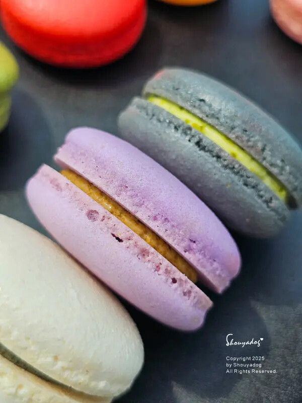 【甜點】姚君子甜點製造所 母親節紀念日禮物首選 繽紛手工馬卡