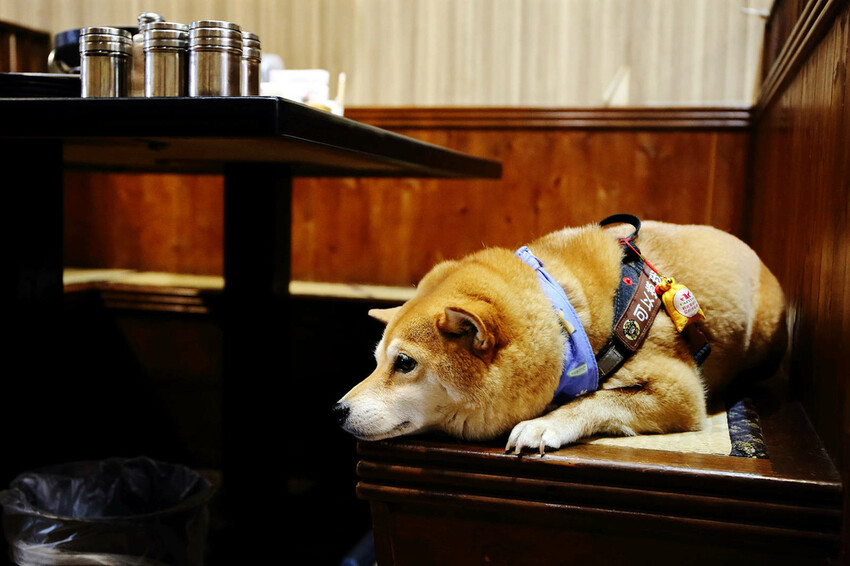 桃園中壢燒肉推薦,潮肉炭火燒肉中壢新生店,CP值超高的和牛吃