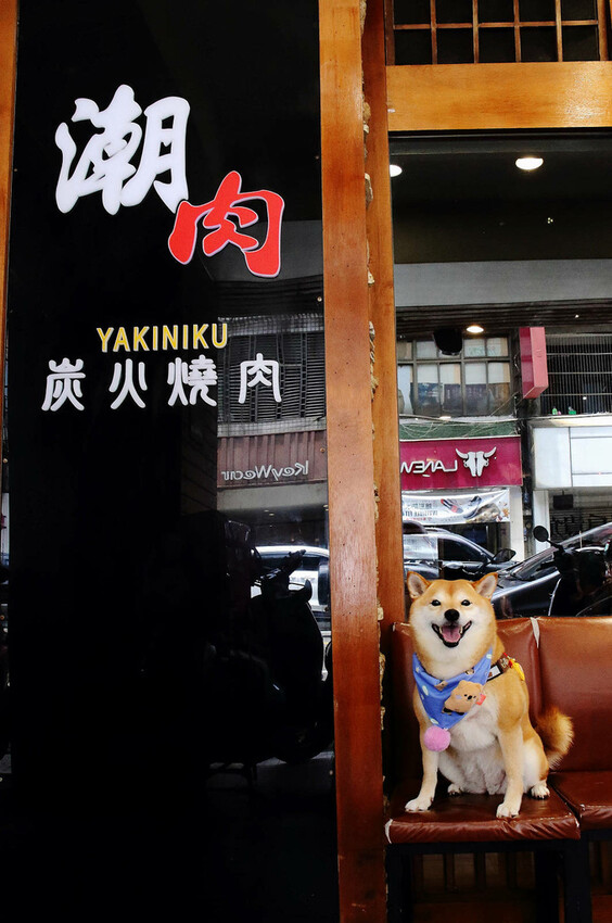 桃園中壢燒肉推薦,潮肉炭火燒肉中壢新生店,CP值超高的和牛吃