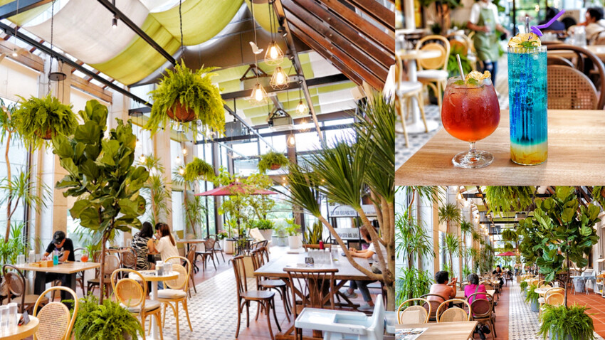 蘆竹慶開幕請你吃干貝 !極致香嫩炙燒燒肉鍋~炸裂泰式蝦爆鍋不用300元