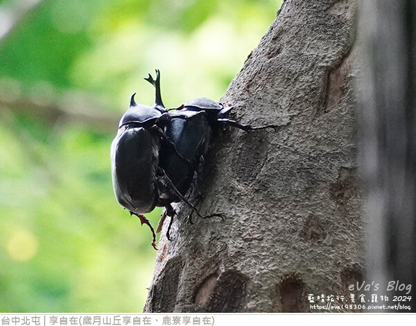 享自在-54.jpg 享自在-54.jpg