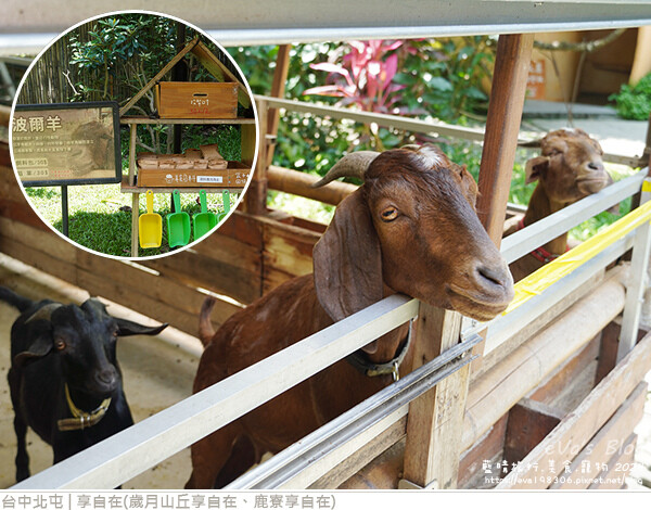 享自在-10.jpg 享自在-10.jpg