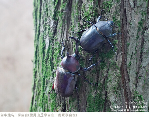 享自在-53.jpg 享自在-53.jpg