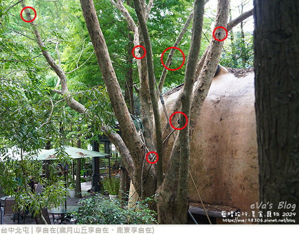 享自在-52.jpg 享自在-52.jpg