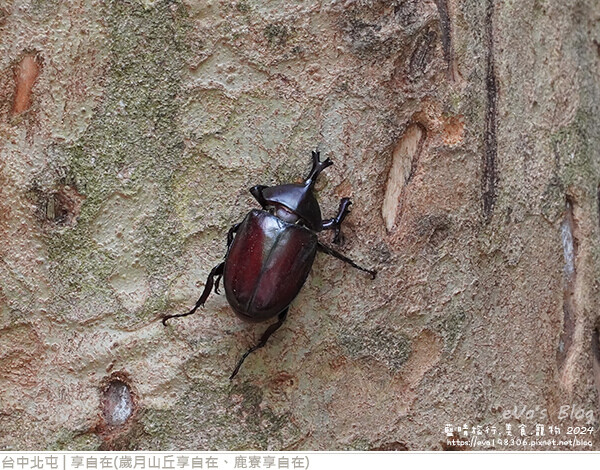 享自在-56.jpg 享自在-56.jpg