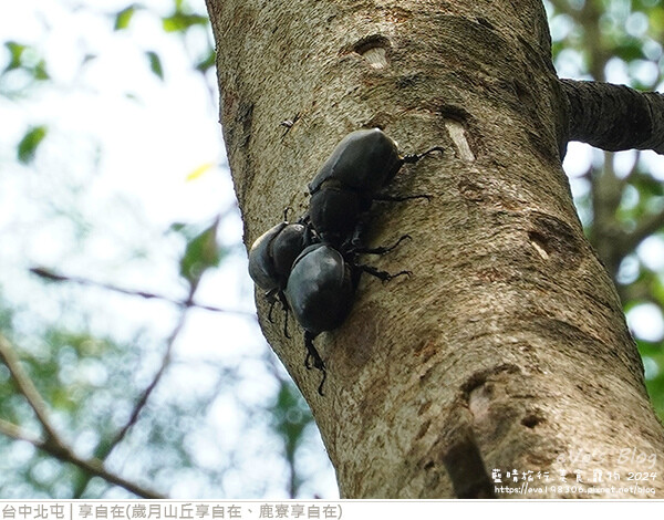 享自在-55.jpg 享自在-55.jpg