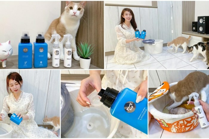 南投縣南投市新寶順茶行|冷泡果茶 零卡無糖卻會甜 取代手搖飲的健康新選擇 夏日沁涼推薦