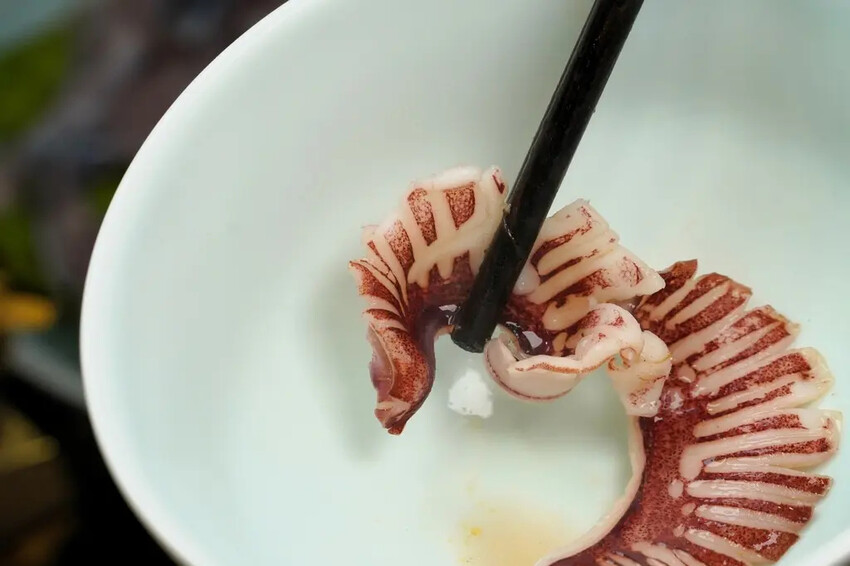 |張飛重慶老火鍋 |張飛重慶老火鍋