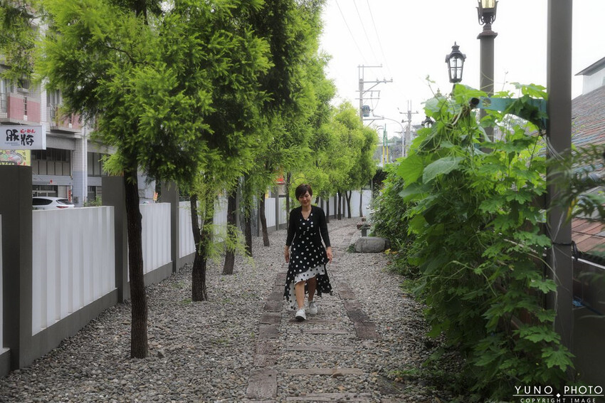 南投縣埔里鎮IG夯爆!超好拍立體車站彩繪牆、塗鴉休憩區 蔬食套餐、下午茶|無所從來蔬食文創館(埔里必吃蔬食餐廳)