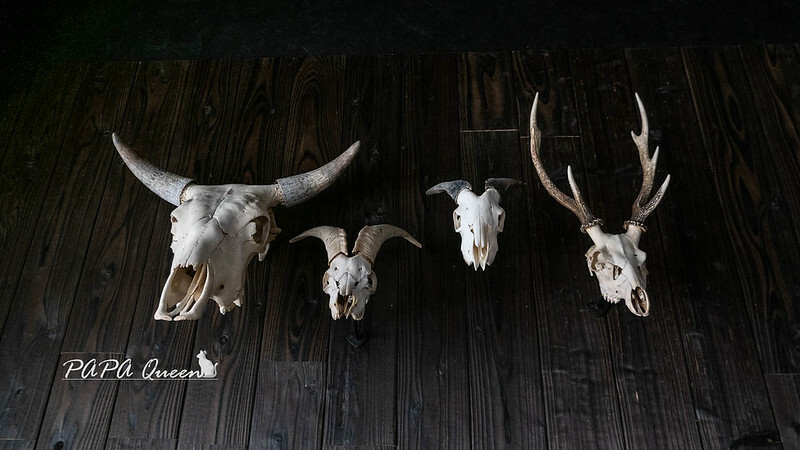 台中市西區台中|Ranger Land | 自然圈-探險俱樂部:窯烤夾餅、早午餐,整棟透明玻璃打造生態美學IN勤美商圈