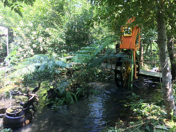 IMG_1583.JPG IMG_1583.JPG