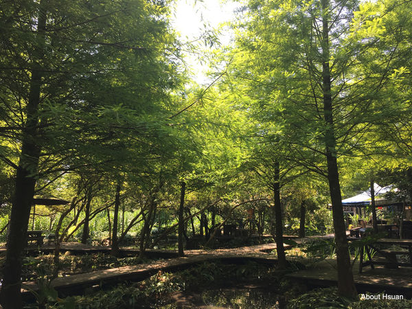 IMG_1591.JPG IMG_1591.JPG