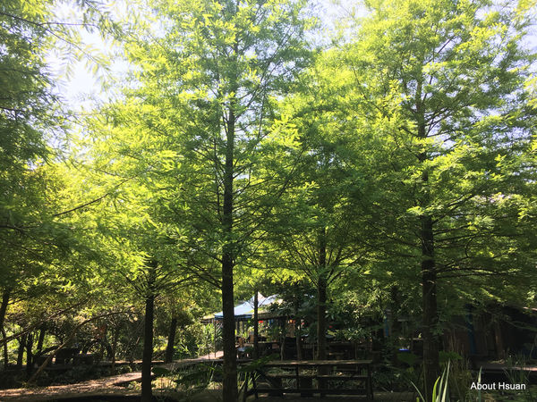 IMG_1590.JPG IMG_1590.JPG