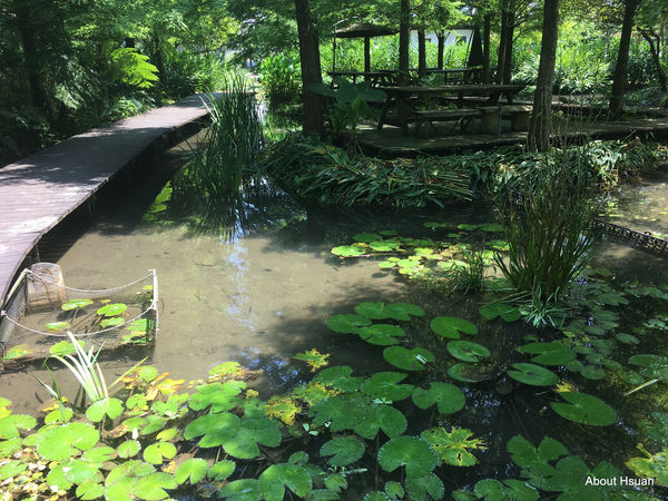 IMG_1585.JPG IMG_1585.JPG