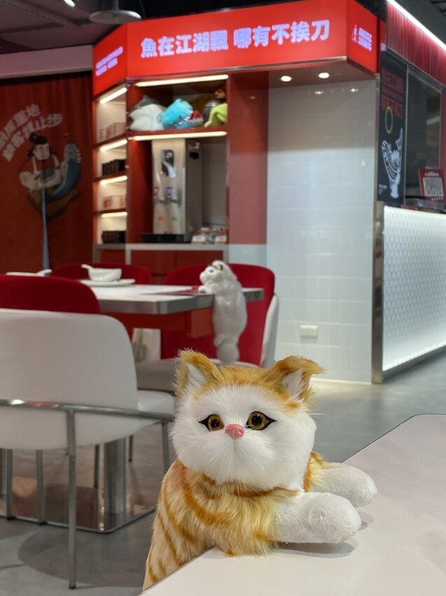 台北市松山區【美食】輝葉大佬酸菜魚慶城店｜酸中帶辣超下飯～趕緊來吃！