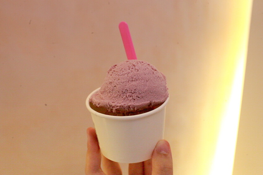 高雄市左營區吃。高雄美食|左營區。「愛絲葵義式冰淇淋 icy queen」新店報報!!!!!超佛心一大球義式手工冰淇淋只要60元