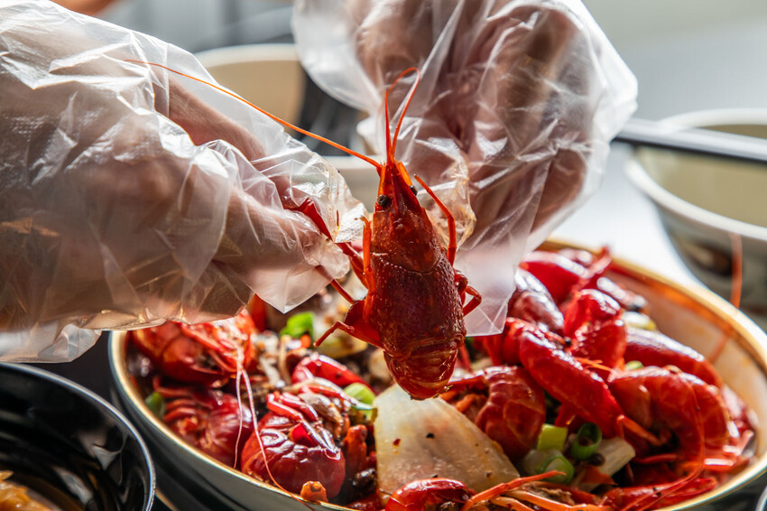 桃園市桃園區魚見你水煮魚中正店｜麻辣鮮香肉質鮮嫩！鄉民私藏不說超大尾麻辣水煮烤魚