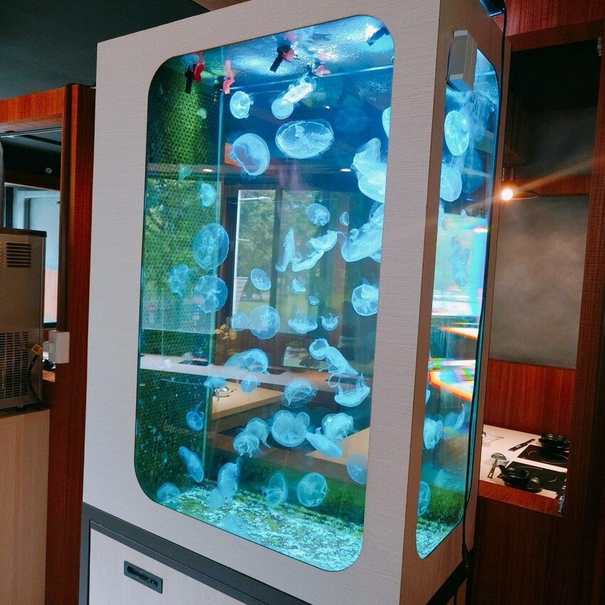 新北市中和區吃火鍋還能看水母！海牧水產鍋物四號公園店探險。