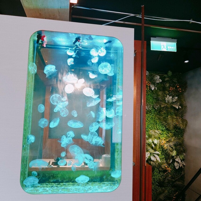 新北市中和區吃火鍋還能看水母！海牧水產鍋物四號公園店探險。