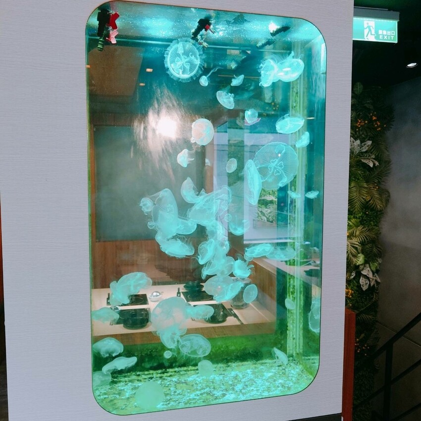 新北市中和區吃火鍋還能看水母！海牧水產鍋物四號公園店探險。