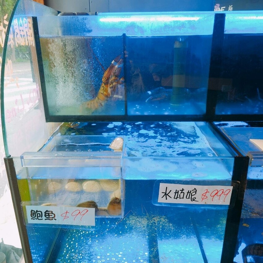 新北市中和區吃火鍋還能看水母！海牧水產鍋物四號公園店探險。
