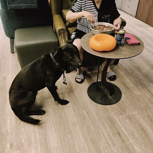 桃園全村的希望麵包~