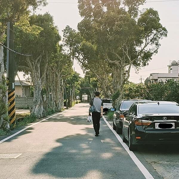 桃園全村的希望麵包~