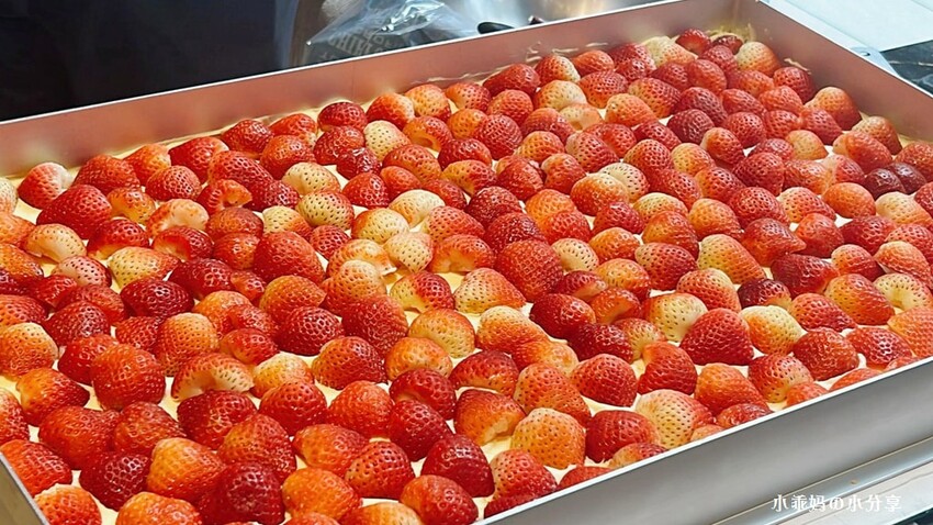 台北市大安區台北蛋糕/甜點店強力推薦【東京巴黎甜點】大安門市新開幕!全台最好吃的蛋糕都在這!大安門市限定款『維也納