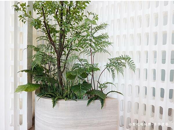 CHER AQUA蒔瀞茶食空間-用餐環境 (5).jpg