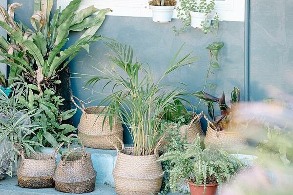 台東縣太麻里鄉台東美食 – 撒花咖啡 x 在地小農與原住民食材的美味結合